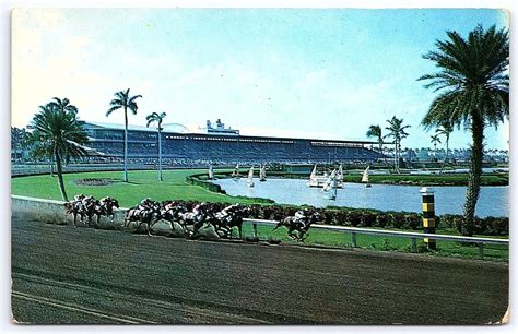 gulfstream race track open.
